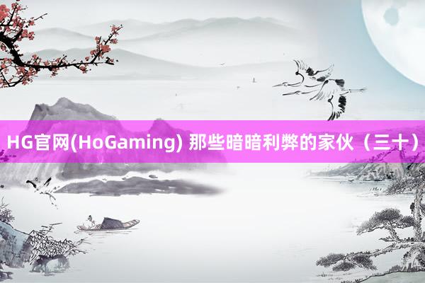 HG官网(HoGaming) 那些暗暗利弊的家伙（三十）
