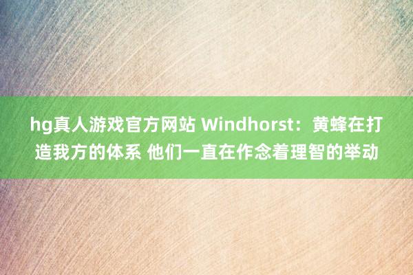 hg真人游戏官方网站 Windhorst：黄蜂在打造我方的体系 他们一直在作念着理智的举动
