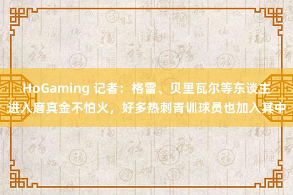 HoGaming 记者：格雷、贝里瓦尔等东谈主进入磨真金不怕火，好多热刺青训球员也加入其中