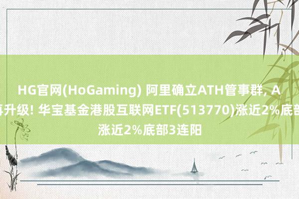 HG官网(HoGaming) 阿里确立ATH管事群， AI策略再升级! 华宝基金港股互联网ETF(513770)涨近2%底部3连阳