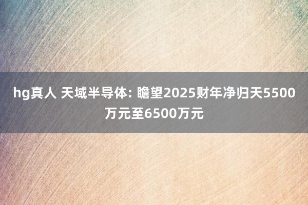 hg真人 天域半导体: 瞻望2025财年净归天5500万元至6500万元