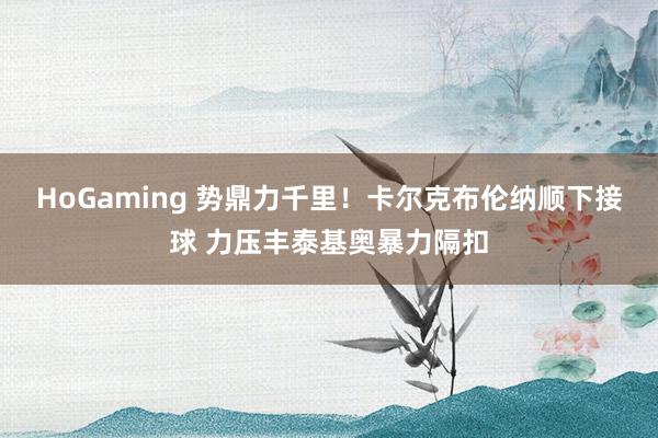 HoGaming 势鼎力千里！卡尔克布伦纳顺下接球 力压丰泰基奥暴力隔扣