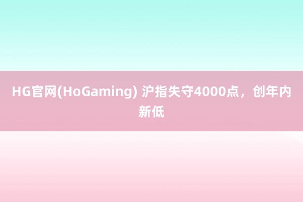 HG官网(HoGaming) 沪指失守4000点，创年内新低