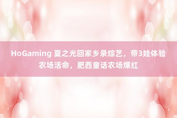 HoGaming 夏之光回家乡录综艺，带3娃体验农场活命，肥西童话农场爆红
