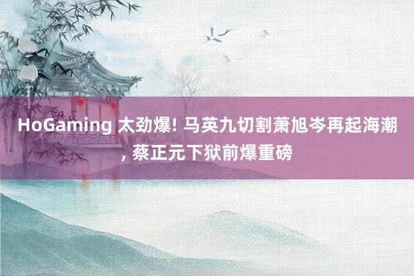 HoGaming 太劲爆! 马英九切割萧旭岑再起海潮， 蔡正元下狱前爆重磅