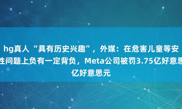 hg真人 “具有历史兴趣”，外媒：在危害儿童等安全性问题上负有一定背负，Meta公司被罚3.75亿好意思元