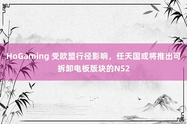 HoGaming 受欧盟行径影响，任天国或将推出可拆卸电板版块的NS2