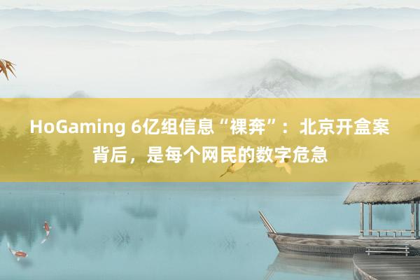 HoGaming 6亿组信息“裸奔”：北京开盒案背后，是每个网民的数字危急