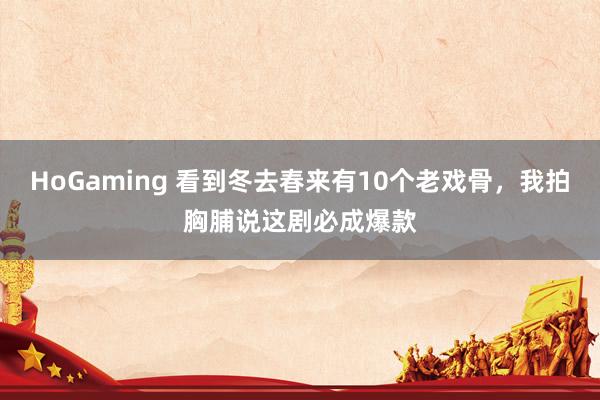 HoGaming 看到冬去春来有10个老戏骨，我拍胸脯说这剧必成爆款