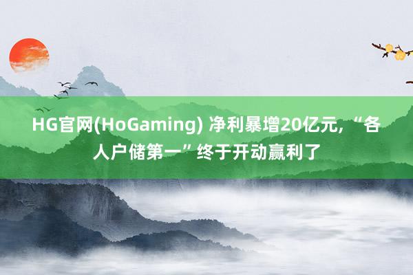 HG官网(HoGaming) 净利暴增20亿元， “各人户储第一”终于开动赢利了