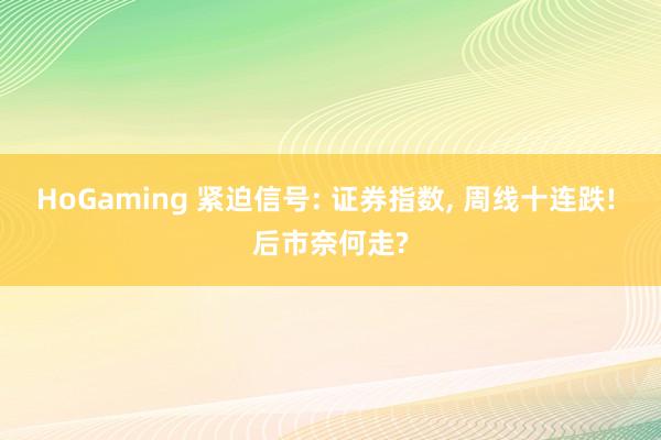 HoGaming 紧迫信号: 证券指数， 周线十连跌! 后市奈何走?
