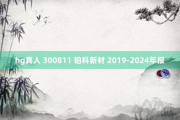 hg真人 300811 铂科新材 2019-2024年报