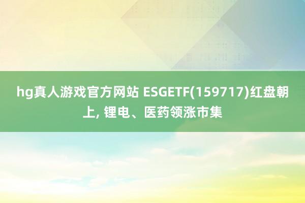 hg真人游戏官方网站 ESGETF(159717)红盘朝上， 锂电、医药领涨市集