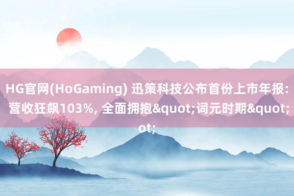 HG官网(HoGaming) 迅策科技公布首份上市年报: 营收狂飙103%， 全面拥抱"词元时期"