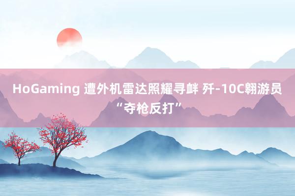 HoGaming 遭外机雷达照耀寻衅 歼-10C翱游员“夺枪反打”