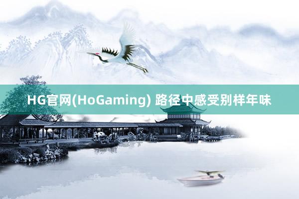 HG官网(HoGaming) 路径中感受别样年味