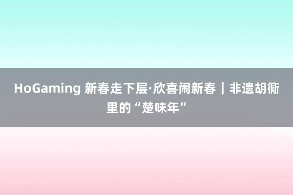 HoGaming 新春走下层·欣喜闹新春｜非遗胡衕里的“楚味年”