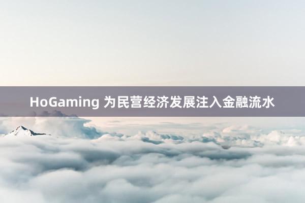 HoGaming 为民营经济发展注入金融流水