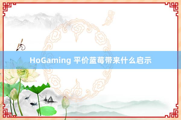 HoGaming 平价蓝莓带来什么启示