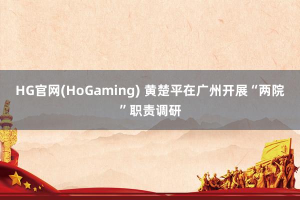 HG官网(HoGaming) 黄楚平在广州开展“两院”职责调研