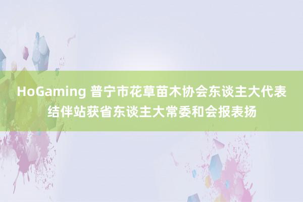 HoGaming 普宁市花草苗木协会东谈主大代表结伴站获省东谈主大常委和会报表扬