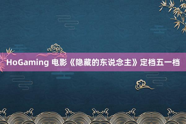 HoGaming 电影《隐藏的东说念主》定档五一档
