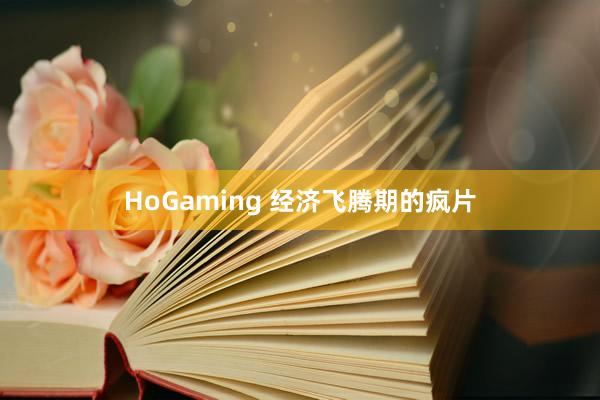 HoGaming 经济飞腾期的疯片