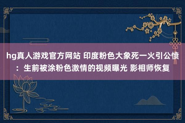 hg真人游戏官方网站 印度粉色大象死一火引公愤：生前被涂粉色激情的视频曝光 影相师恢复