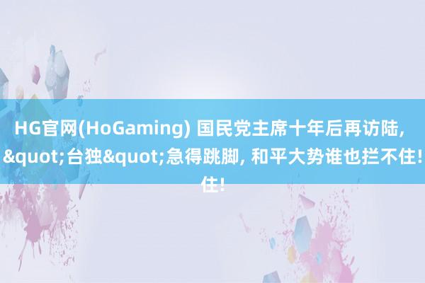 HG官网(HoGaming) 国民党主席十年后再访陆， "台独"急得跳脚， 和平大势谁也拦不住!