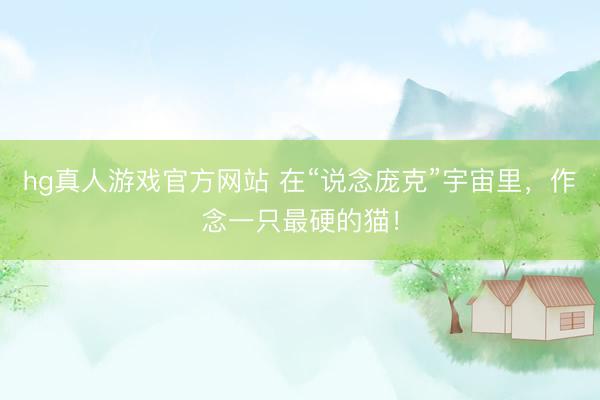 hg真人游戏官方网站 在“说念庞克”宇宙里，作念一只最硬的猫！