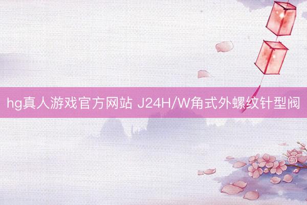 hg真人游戏官方网站 J24H/W角式外螺纹针型阀