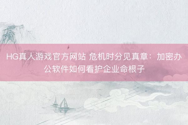 HG真人游戏官方网站 危机时分见真章：加密办公软件如何看护企业命根子