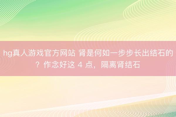 hg真人游戏官方网站 肾是何如一步步长出结石的？作念好这 4 点，隔离肾结石