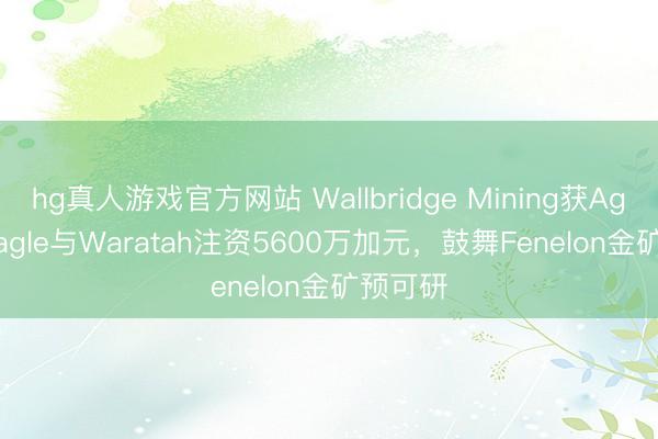 hg真人游戏官方网站 Wallbridge Mining获Agnico Eagle与Waratah注资5600万加元，鼓舞Fenelon金矿预可研