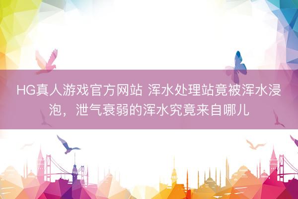 HG真人游戏官方网站 浑水处理站竟被浑水浸泡，泄气衰弱的浑水究竟来自哪儿