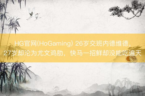 HG官网(HoGaming) 26岁交班内德维德，27岁却沦为尤文鸡肋，快马一招鲜却没能吃遍天